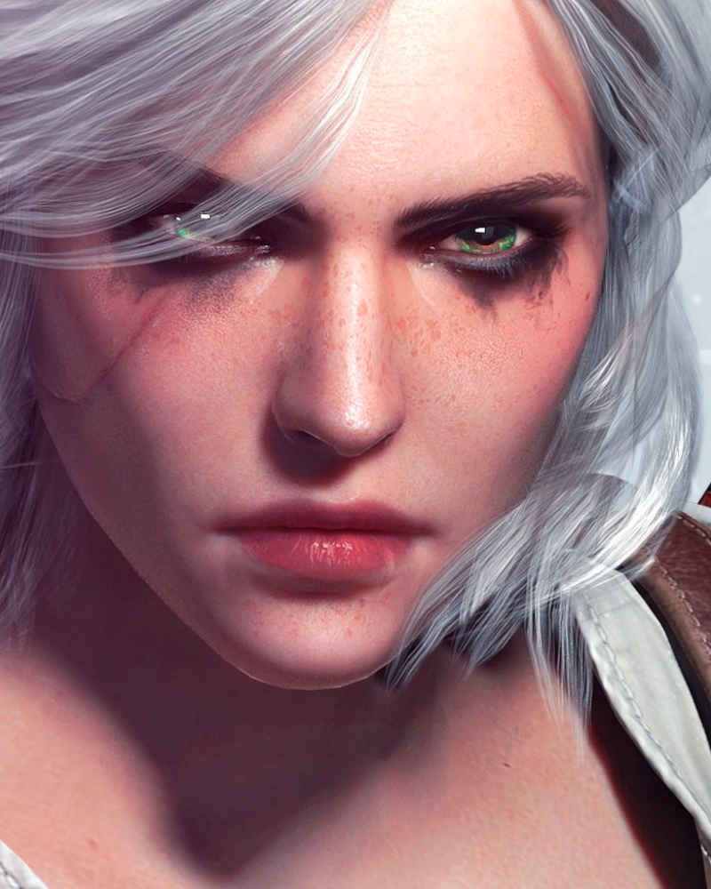 Universo The Witcher